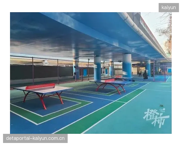 为何各地涌现的高架下体育空间多为篮球、滑板场，是否存在项目同质化与忽视在地化需求的风险？